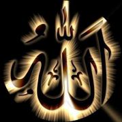 ������ ������� ���� ���